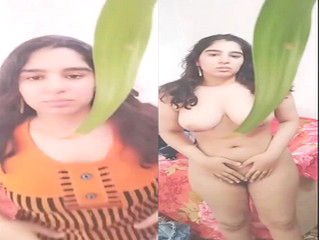 Hindi BF Video of Hot Desi girl Shows Nude Body 